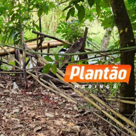 Fotos de Identificado o jovem encontrado morto em represa na região de Maringá