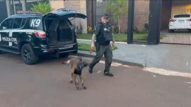 Fotos de Denarc deflagra segunda fase da operação contra organização criminosa em Maringá