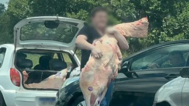 Fotos de Dez pessoas que saquearam 15 toneladas de carne após acidente são indiciadas por furto qualificado no Paraná