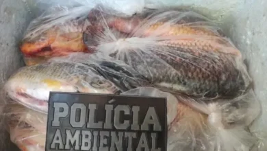 Fotos de Dupla é multada em R$ 7 mil por pescar além do permitido