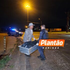 Fotos de Garupa morre e piloto fica em estado grave após moto bater em meio-fio e alambrado em Maringá 
