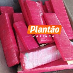 Homem morre em confronto com a Rotam na zona rural de Marialva Foto 1 Fotos de Homem morre em confronto com a Rotam na zona rural de Marialva