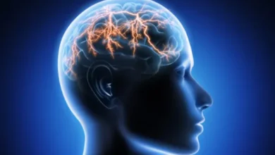 Fotos de Hospital Universitário de Maringá oferta atendimento a pacientes com epilepsia
