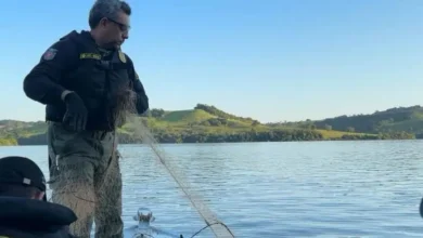 Fotos de IAT apreende 44 kg de peixes e aplica multas de R$ 127 mil no período da Piracema