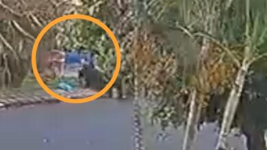 Fotos de Idosa de 85 anos é arremessada após ser atropelada enquanto varria a calçada em Maringá