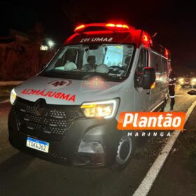 Fotos de Fiel até o fim: cachorro chora ao lado de homem atropelado em rodovia no Paraná