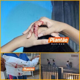 Guarda Civil de Sarandi apreende em uma ação rápida adolescentes que esfaquearam jovem em emboscada Foto 1 Fotos de Guarda Civil de Sarandi apreende em uma ação rápida adolescentes que esfaquearam jovem em emboscada