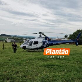 Homem é intubado após ataque de marimbondos em sítio em Maringá Foto 1 Fotos de Homem é intubado após ataque de marimbondos em sítio em Maringá