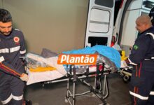 Fotos de Idoso é esfaqueado e agredido com barra de ferro durante assalto em propriedade rural de Marialva