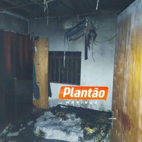 Fotos de Idoso é esfaqueado e agredido com barra de ferro durante assalto em propriedade rural de Marialva