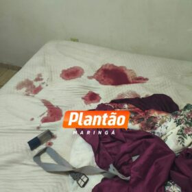 Fotos de Idoso é esfaqueado e agredido com barra de ferro durante assalto em propriedade rural de Marialva