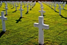Fotos de Obituário: veja lista de falecimentos, em Maringá e região