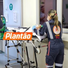 Bebê é atacado por pitbull e fica gravemente ferido na noite desta sexta-feira Foto 1 Fotos de Bebê é atacado por pitbull e fica gravemente ferido na noite desta sexta-feira