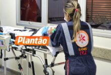 Fotos de Bebê é atacado por pitbull e fica gravemente ferido na noite desta sexta-feira