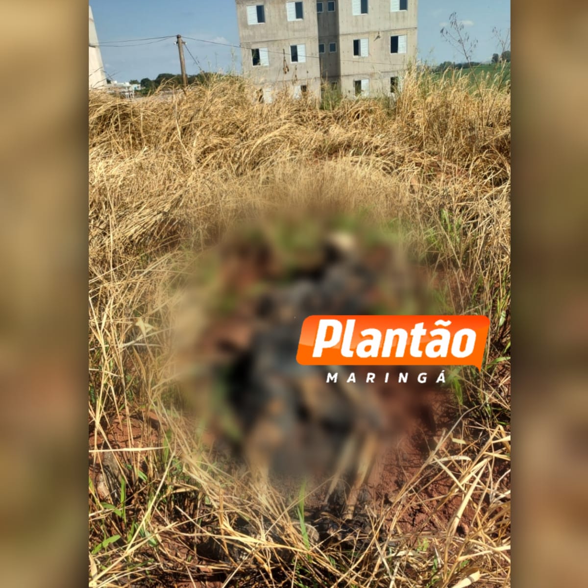 Fotos de Corpo carbonizado é encontrado em matagal na zona sul de Maringá
