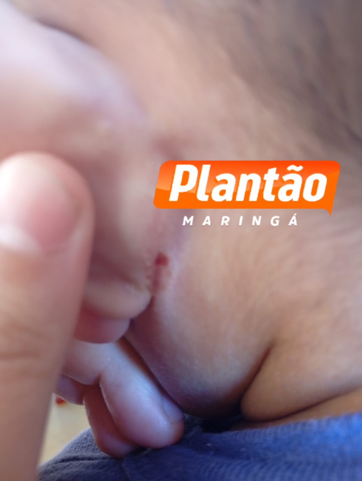 Criança é resgatada em boca de fumo em Sarandi; polícia investiga possível penhora por dívida de drogas Foto 1 Fotos de Criança é resgatada em boca de fumo em Sarandi; polícia investiga possível penhora por dívida de drogas