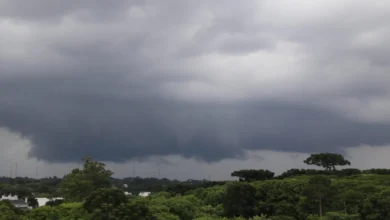 Fotos de Defesa Civil alerta para tempestades severas e vendavais no Paraná