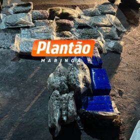 Fotos de Homem é executado a tiros em Sarandi; câmeras registram ação criminosa