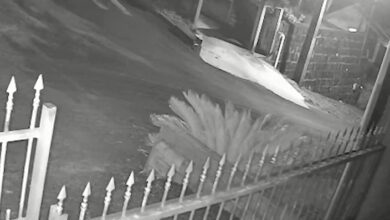 Fotos de Imagens fortes: criança morre e outra fica ferida após bicicleta bater contra muro no Paraná