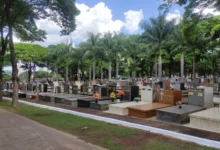 Fotos de Obituário: veja lista de falecimentos, em Maringá e região