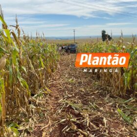 Perseguição policial termina com traficante morto após confronto armado com a PRE de Maringá Foto 3 Fotos de Perseguição policial termina com traficante morto após confronto armado com a PRE de Maringá