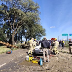 Fotos de Árvore cai sobre carro e mata motorista na PR-317, em Maringá