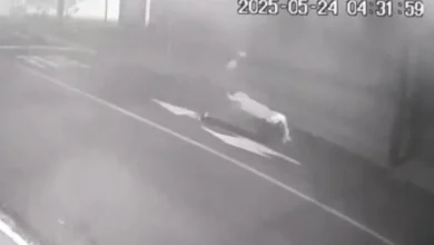 Fotos de Corpo de homem é desovado de carriola no centro de cidade do Paraná; VÍDEO