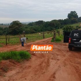 Fotos de Criminosos armados com fuzis tentam executar maringaense em Mandaguaçu drone pode ter sido utilizado no crime