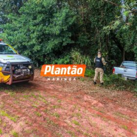 Fotos de Criminosos armados com fuzis tentam executar maringaense em Mandaguaçu drone pode ter sido utilizado no crime