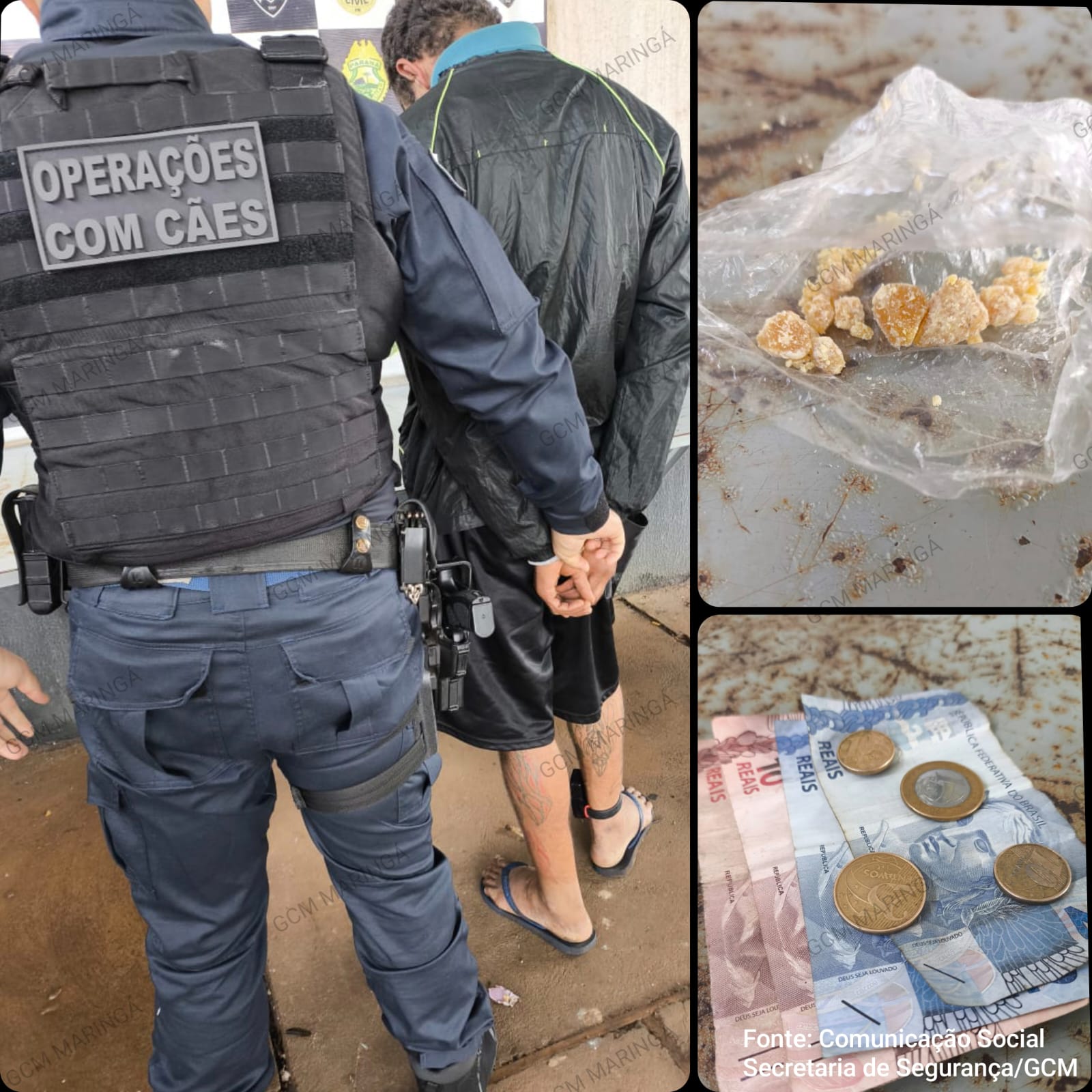 Fotos de Equipe CANIL de Maringá prende suspeito por tráfico no centro; tornozeleira estava desligada
