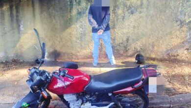 Fotos de GCM de Maringá prende motociclista que empinava moto em frente à viatura