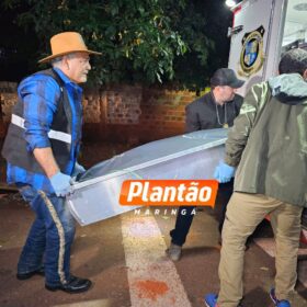 Fotos de Câmera de segurança flagra homicídio de homem com mandado de prisão em Maringá