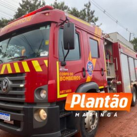 Homem tenta queimar formigueiro e incendeia a própria casa em Sarandi; cadelinha é resgatada pelos bombeiros Foto 2 Fotos de Homem tenta queimar formigueiro e incendeia a própria casa em Sarandi; cadelinha é resgatada pelos bombeiros