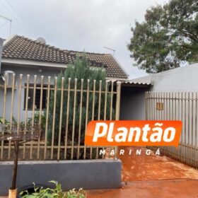 Homem tenta queimar formigueiro e incendeia a própria casa em Sarandi; cadelinha é resgatada pelos bombeiros Foto 3 Fotos de Homem tenta queimar formigueiro e incendeia a própria casa em Sarandi; cadelinha é resgatada pelos bombeiros