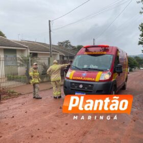 Homem tenta queimar formigueiro e incendeia a própria casa em Sarandi; cadelinha é resgatada pelos bombeiros Foto 1 Fotos de Homem tenta queimar formigueiro e incendeia a própria casa em Sarandi; cadelinha é resgatada pelos bombeiros