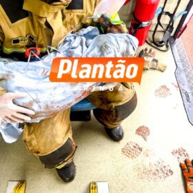 Homem tenta queimar formigueiro e incendeia a própria casa em Sarandi; cadelinha é resgatada pelos bombeiros Foto 4 Fotos de Homem tenta queimar formigueiro e incendeia a própria casa em Sarandi; cadelinha é resgatada pelos bombeiros