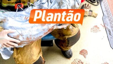 Fotos de Homem tenta queimar formigueiro e incendeia a própria casa em Sarandi; cadelinha é resgatada pelos bombeiros