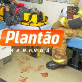 Homem tenta queimar formigueiro e incendeia a própria casa em Sarandi; cadelinha é resgatada pelos bombeiros Foto 5 Fotos de Homem tenta queimar formigueiro e incendeia a própria casa em Sarandi; cadelinha é resgatada pelos bombeiros