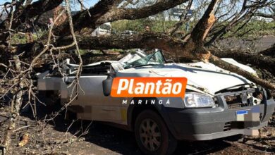 Fotos de Motorista morre após árvore cair sobre carro na PR-317 em Maringá