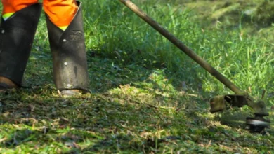 Fotos de Nova lei das roçadas entra em vigor em Maringá com multa 50% alta