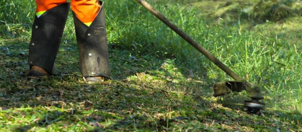 Nova lei das roçadas entra em vigor em Maringá com multa 50% alta Foto 1 Fotos de Nova lei das roçadas entra em vigor em Maringá com multa 50% alta