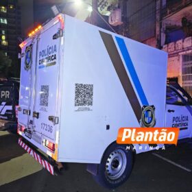 Guarda Civil prende suspeitos pela morte de “Macuco” no centro de Maringá Foto 8 Fotos de Guarda Civil prende suspeitos pela morte de “Macuco” no centro de Maringá