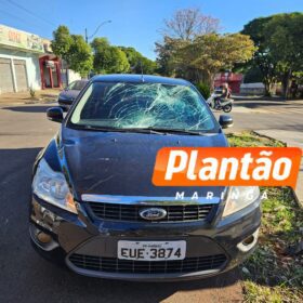 Fotos de Adolescente de 12 anos fica em estado gravíssimo após ser atropelado na Avenida Tuiuti, em Maringá