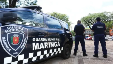 Fotos de Câmara aprova lei que prevê recompensa em dinheiro por denúncias contra crimes e danos ao patrimônio em Maringá