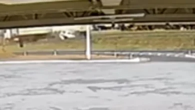 Fotos de Câmera flagra colisão que deixou pai e filho feridos na BR-376; assista