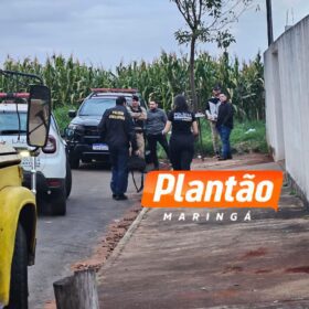 Fotos de Criminoso que agrediu e deu coronhadas em policiais durante invasão a destacamento da PM morre em confronto com a Rotam em Marialva 