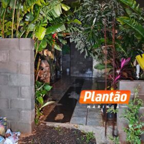 Fotos de Criminosos invadem residência e executam homem com mais 20 tiros em Maringá; enteada dele também foi baleada 