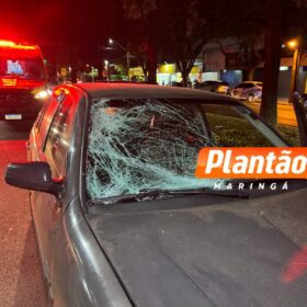 Garçom é intubado após ser atropelado na Avenida Cerro Azul, em Maringá Foto 5 Fotos de Garçom é intubado após ser atropelado na Avenida Cerro Azul, em Maringá