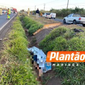 Fotos de Homem morre após ser atropelado na BR-376 entre Maringá e Iguatemi