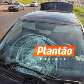 Identificada no IML de Maringá mulher que morreu após ser atropelada na BR-376 Foto 5 Fotos de Identificada no IML de Maringá mulher que morreu após ser atropelada na BR-376
